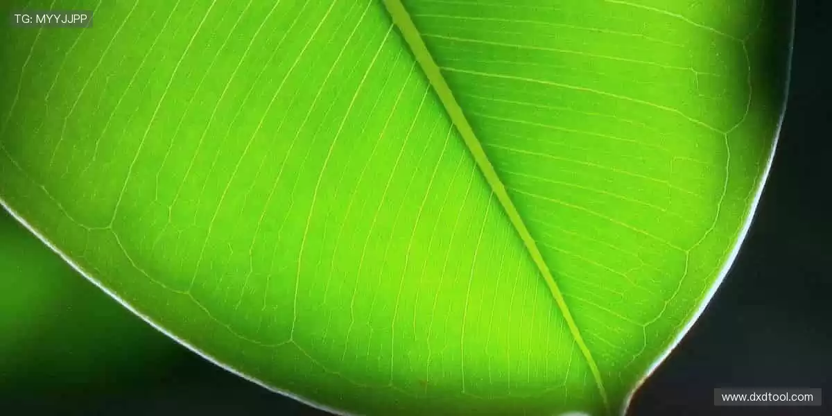 🎉加入体育社区，与千万球迷一起为热爱呐喊！赛事、直播、互动一站式体验！🏀